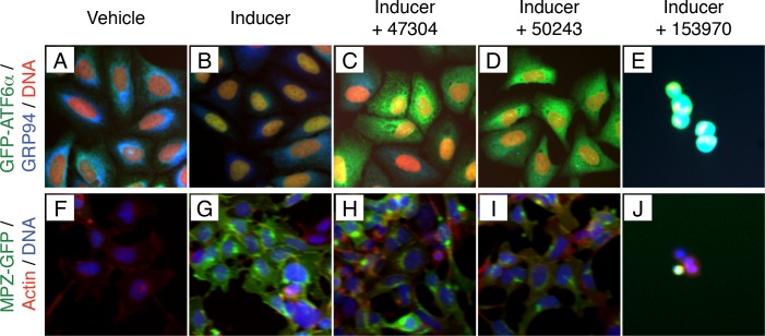 Figure 2—figure supplement 4.