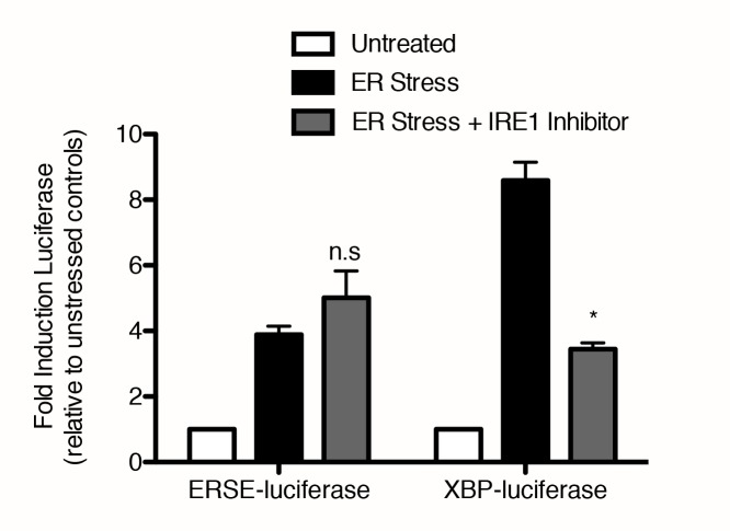 Figure 1—figure supplement 1.