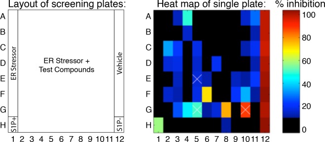 Figure 2—figure supplement 2.