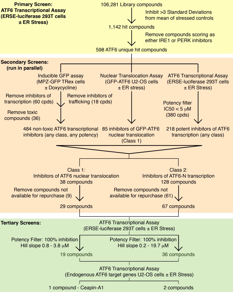 Figure 3—figure supplement 2.