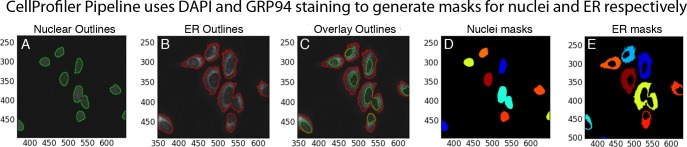 Figure 2—figure supplement 1.