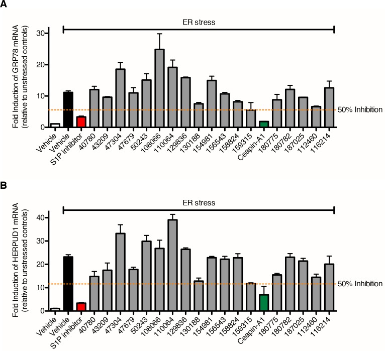 Figure 3—figure supplement 1.