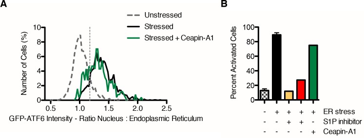 Figure 2—figure supplement 3.