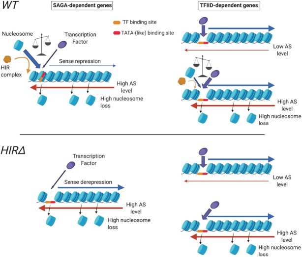 Figure 7.