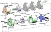 Fig. 3.