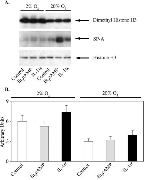 FIG. 9.