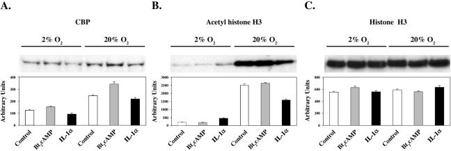 FIG. 7.