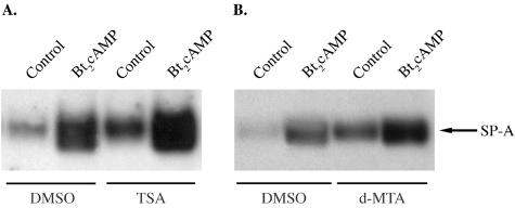 FIG. 10.