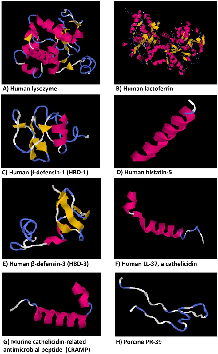 FIGURE 3