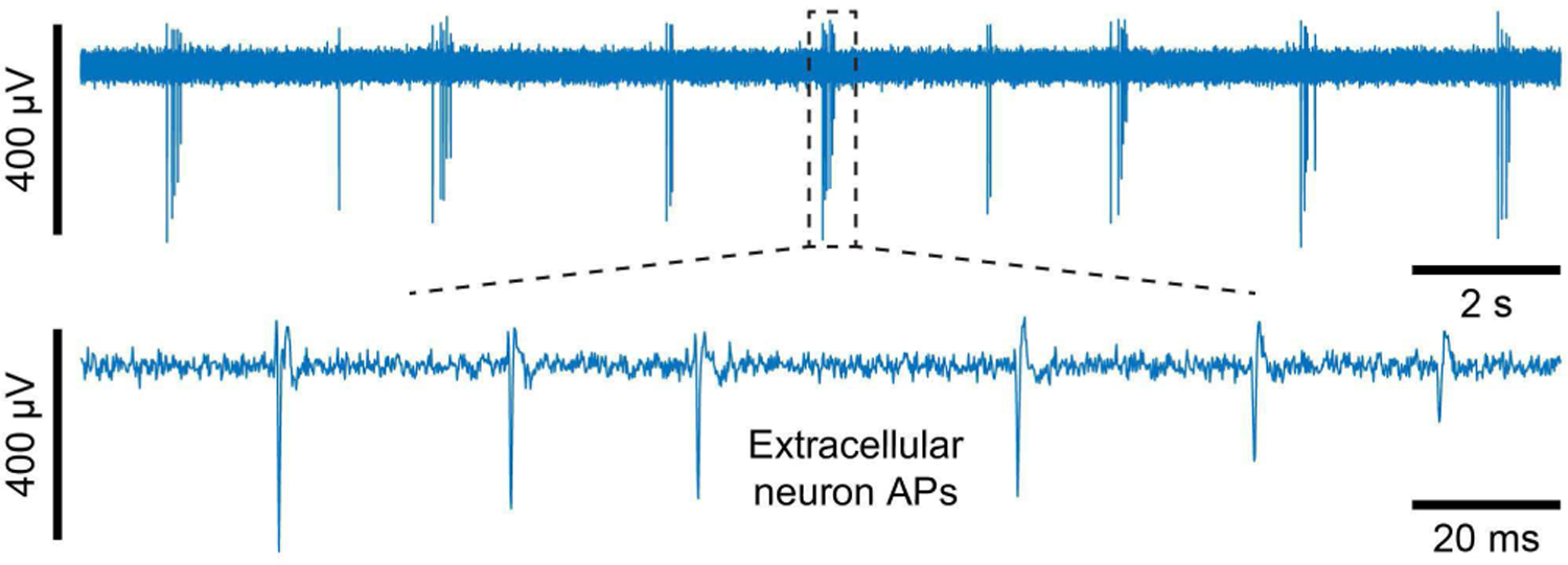 Fig. 17.