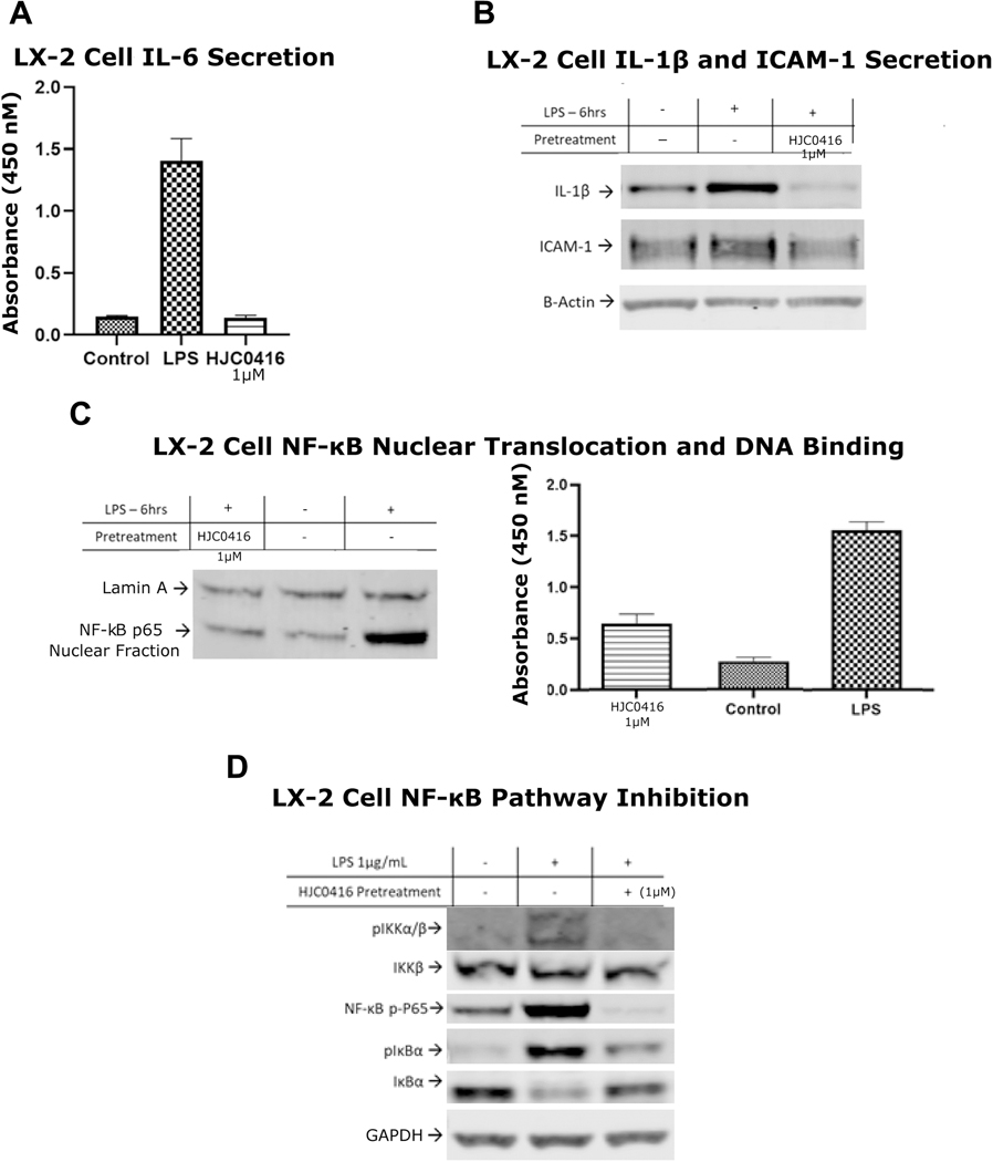 Figure 5: