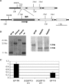 FIG. 2.