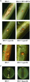 FIG. 4.