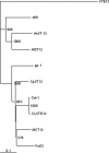 FIG. 1.