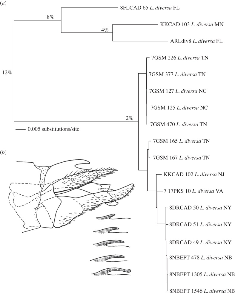 Figure 5.