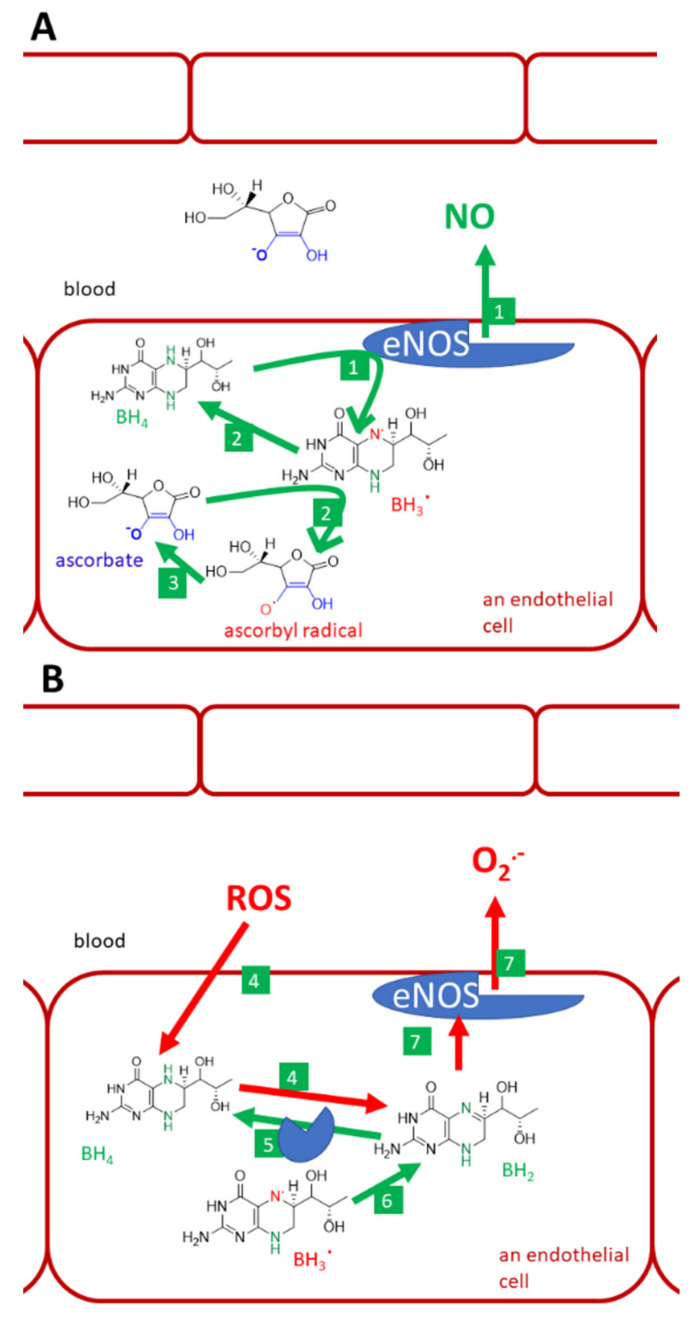 Figure 9