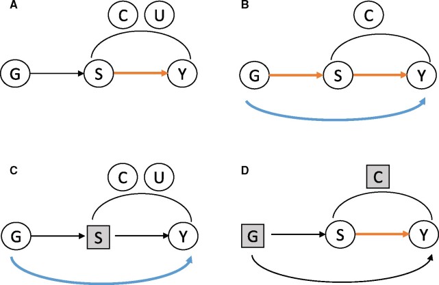 Graphical Abstract