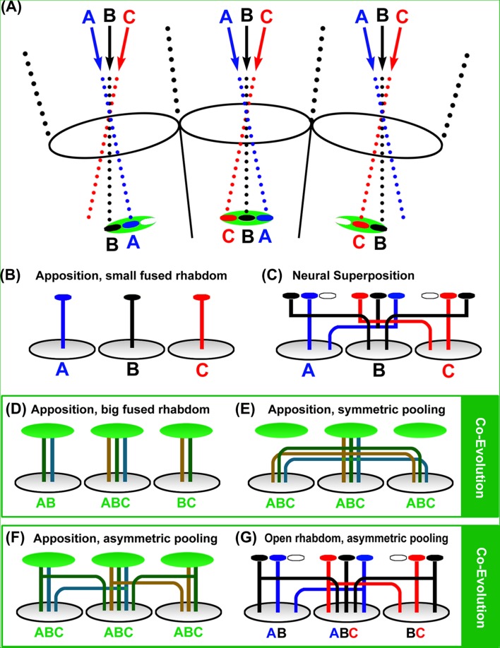 Figure 3.