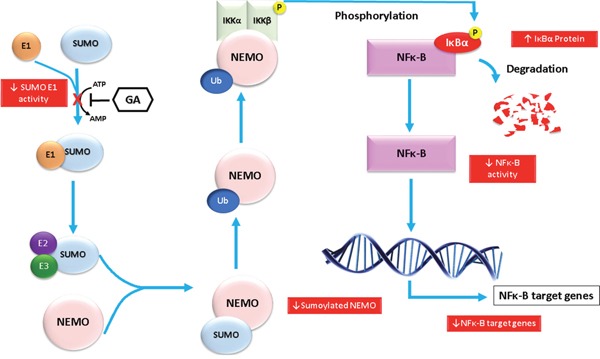 Figure 9