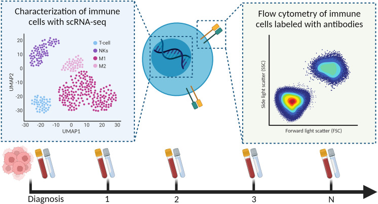 Figure 4