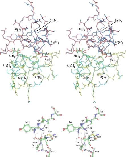 FIGURE 5.