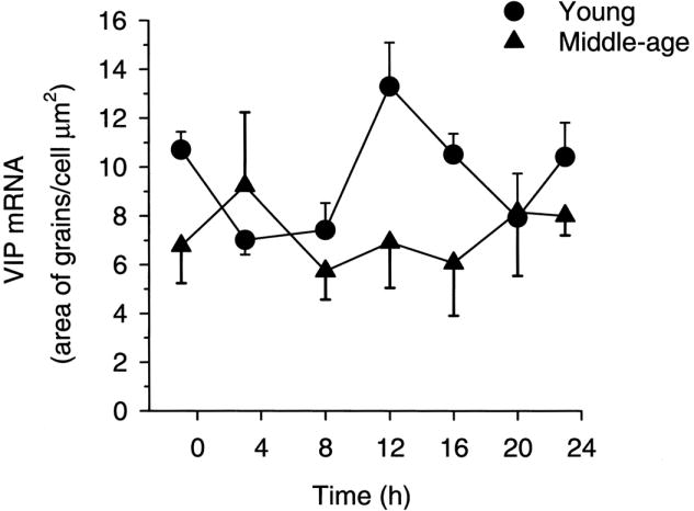 FIG. 3