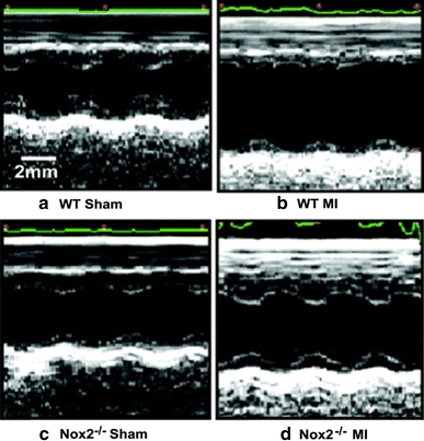 Fig. 4