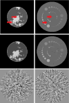 Fig. 8