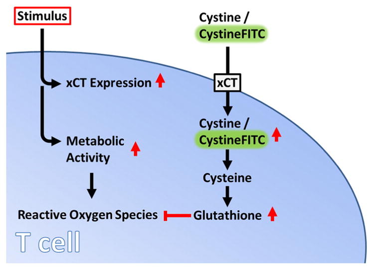 Fig. 9