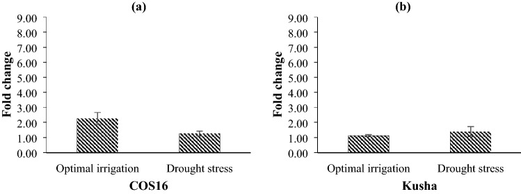 Fig. 12