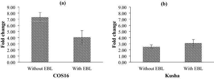 Fig. 11