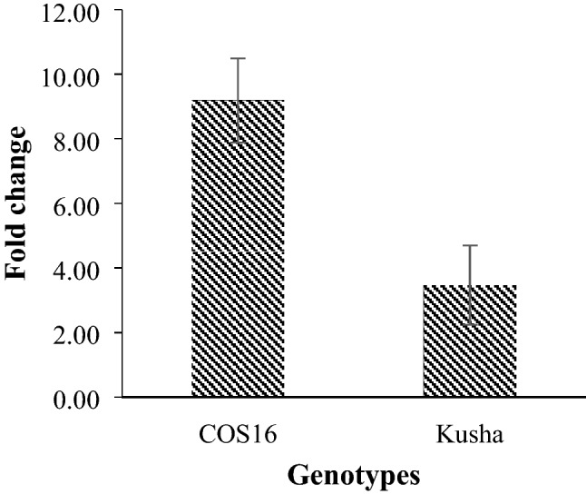 Fig. 13