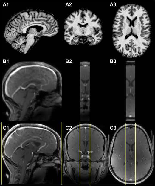 FIGURE 2