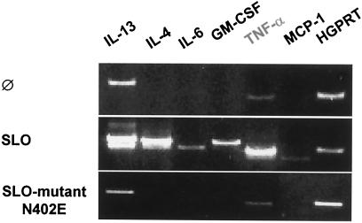 FIG. 5.