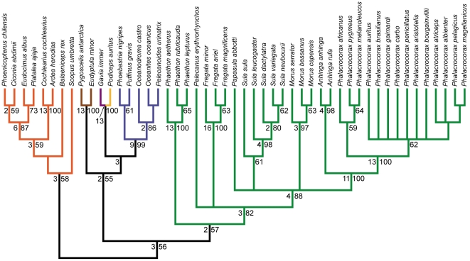 Figure 6