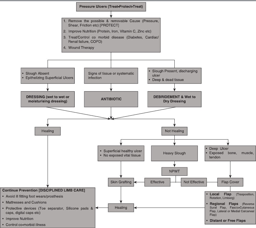 graphic file with name IJPS-48-4-g004.jpg