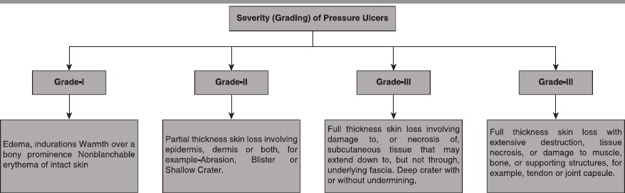 graphic file with name IJPS-48-4-g003.jpg