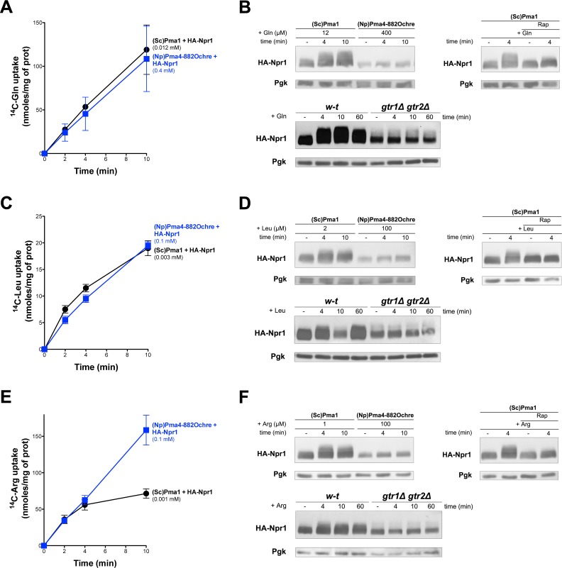 Figure 7—figure supplement 2.