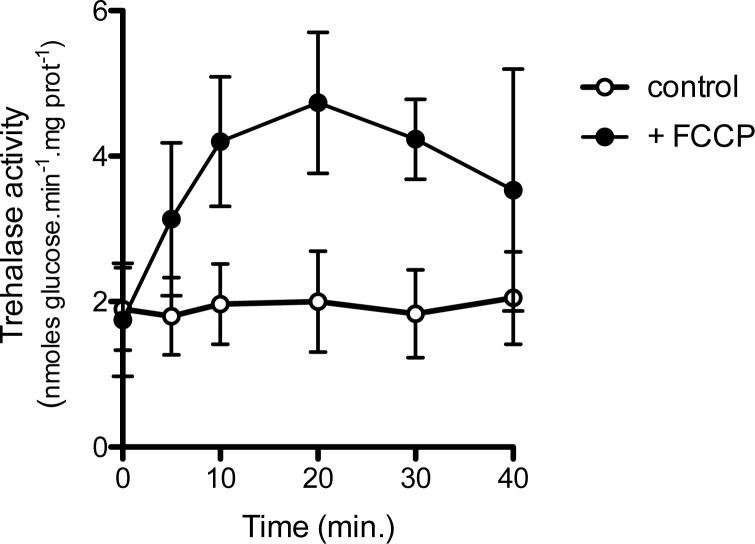 Figure 5—figure supplement 1.