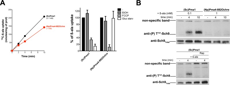 Figure 7—figure supplement 1.