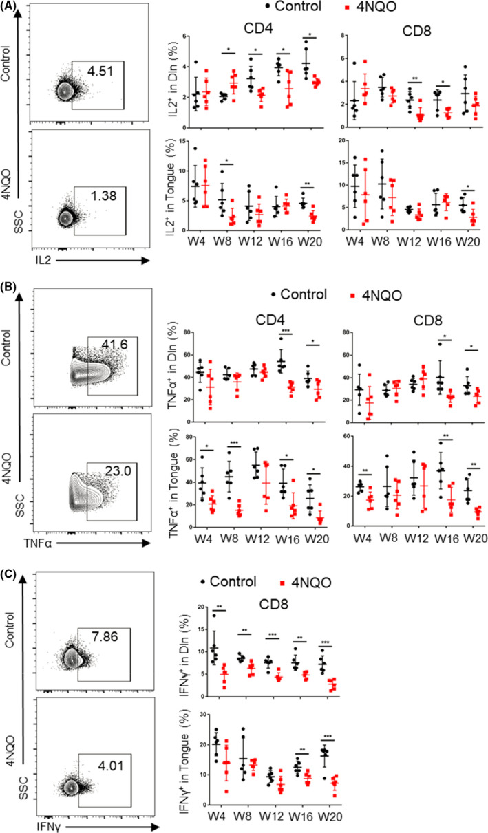 FIGURE 4