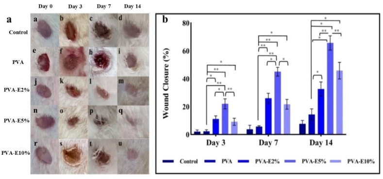 Fig. 15