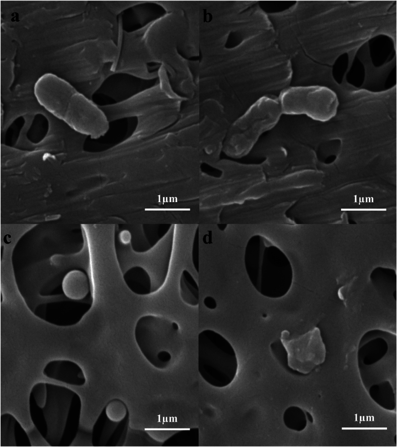 Fig. 9