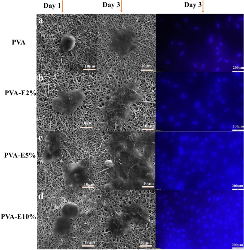 Fig. 11