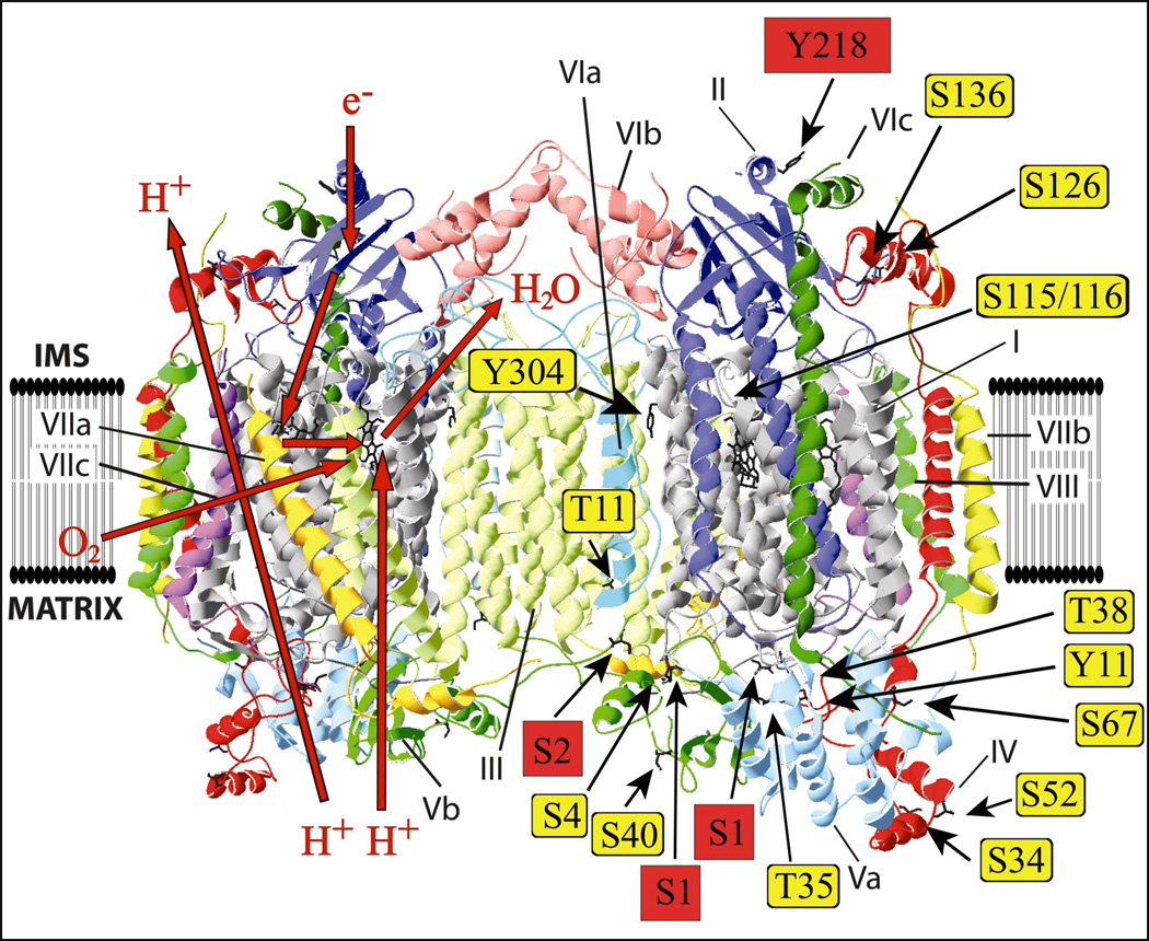 Fig 5