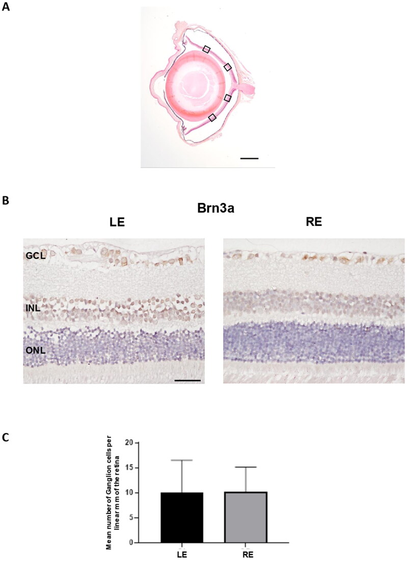 Figure 9.