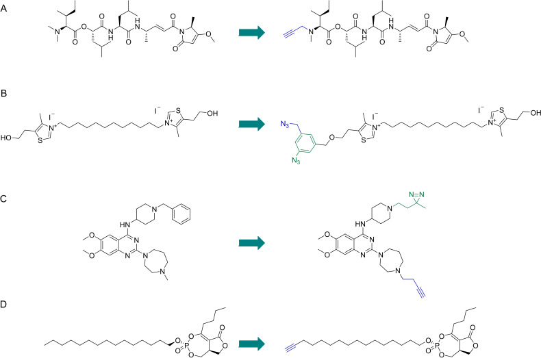 Figure 11