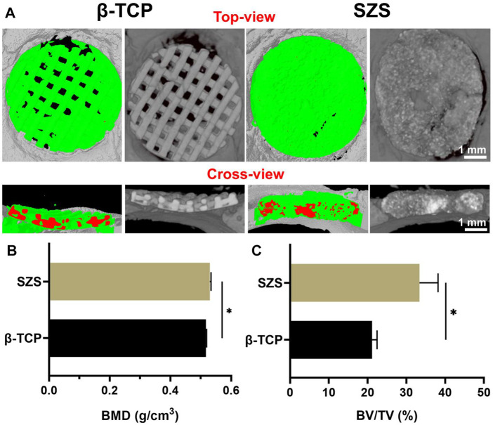 FIGURE 6