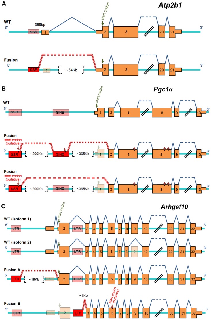 Fig 6