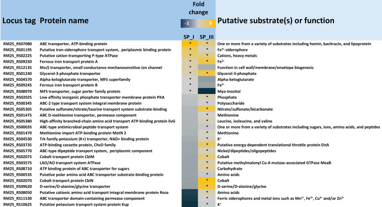 The heatmap shows the fold change in the gene expression levels of various proteins categorized by their locus tag and putative substrate or function, including transporters, binding proteins, enzymes, and substrates like ions, amino acids, and metals.